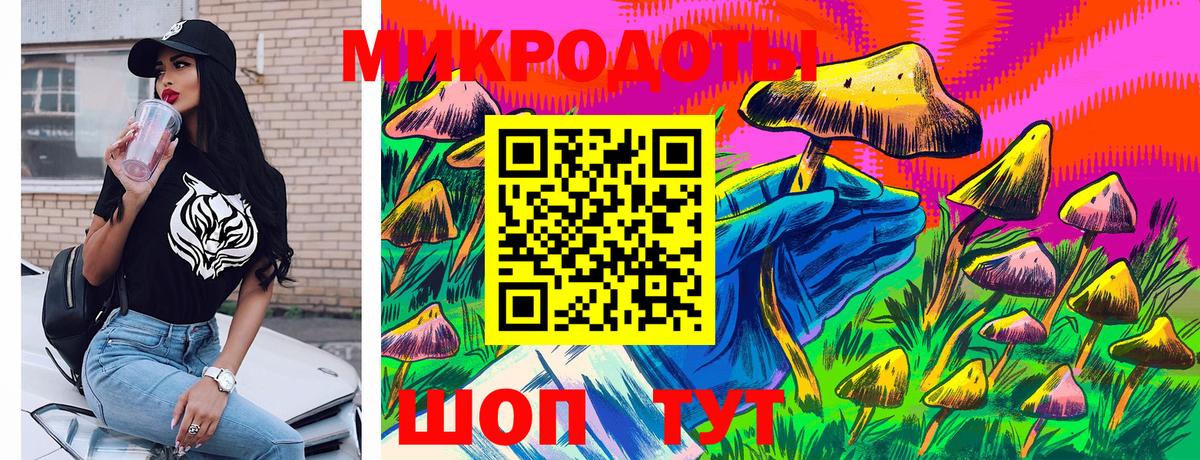 Котельники  Псилоцибиновые грибы Magic Shrooms  Вход с VPN  Псилоцибиновые грибы Psilocybe 